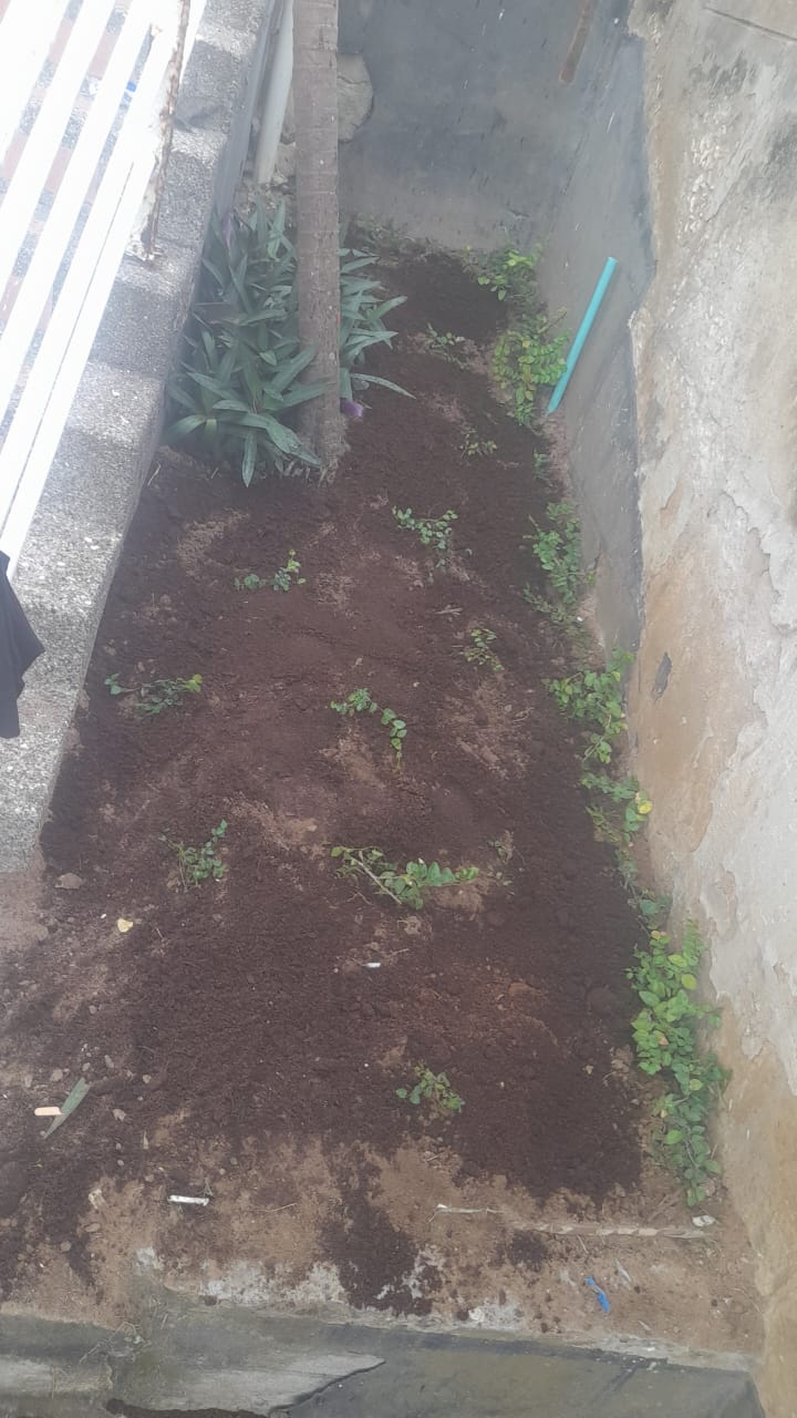 Terreno preparado con abono y listo para la vegetación
